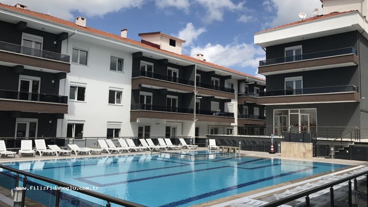RİVER CİTY 2
